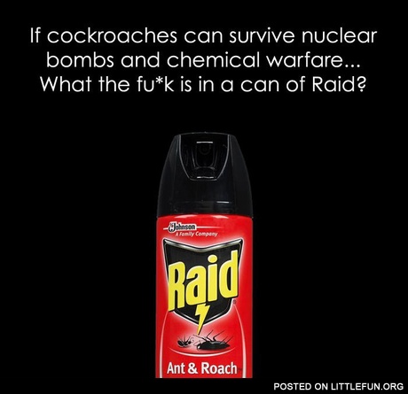 Raid