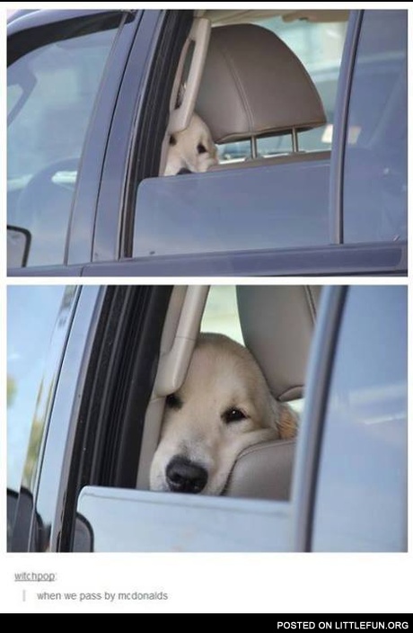 When we pass by McDonald's