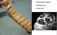 We have been peeling mandarins the wrong way