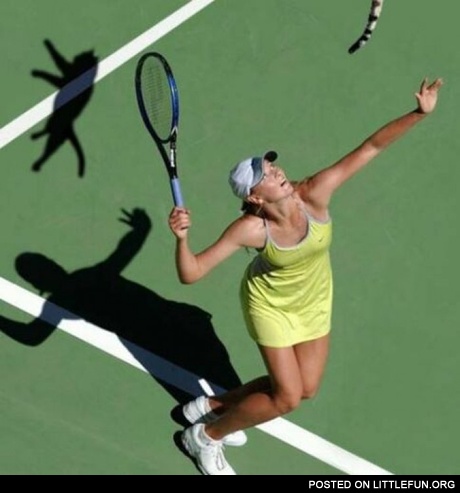 Cat tennis