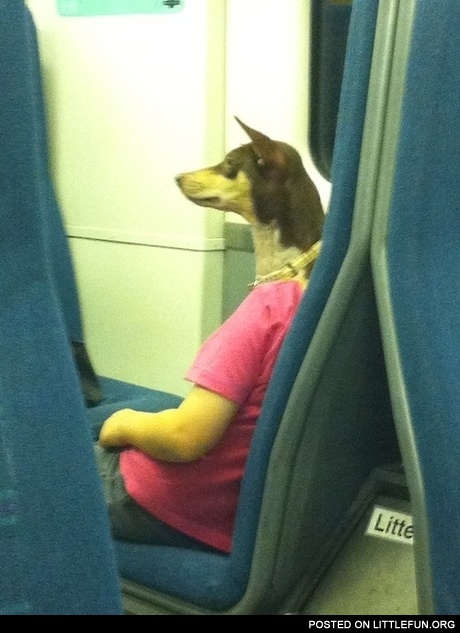 Anubis
