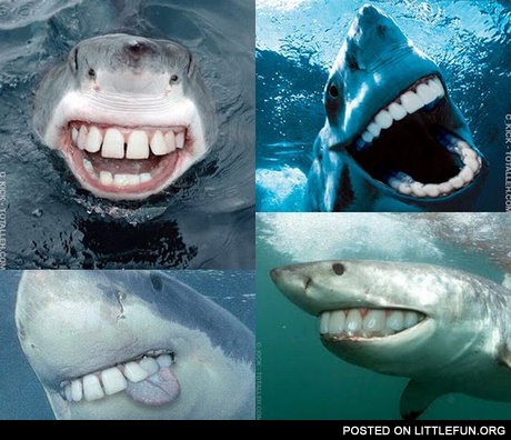 Sharks with human teeth