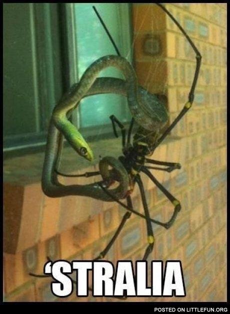 'Stralia