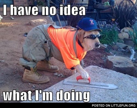 i have no idea what i'm doing