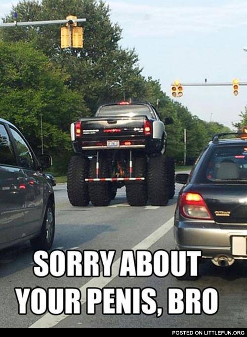 Sorry about your penis, bro. A big car.