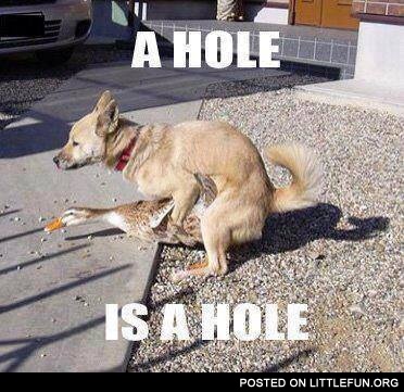 A hole is a hole