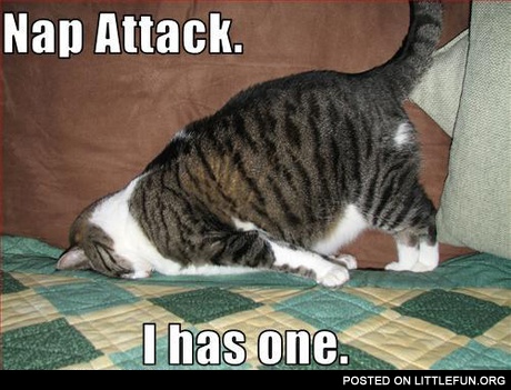 Nap attack