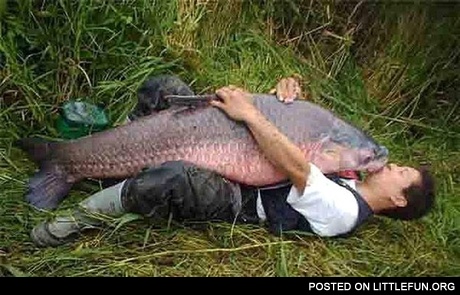 Big fish