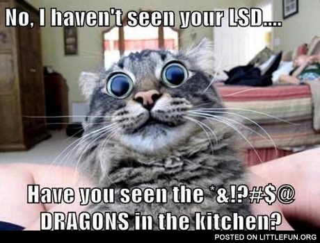 Have you seen the dragons in the kitchen?