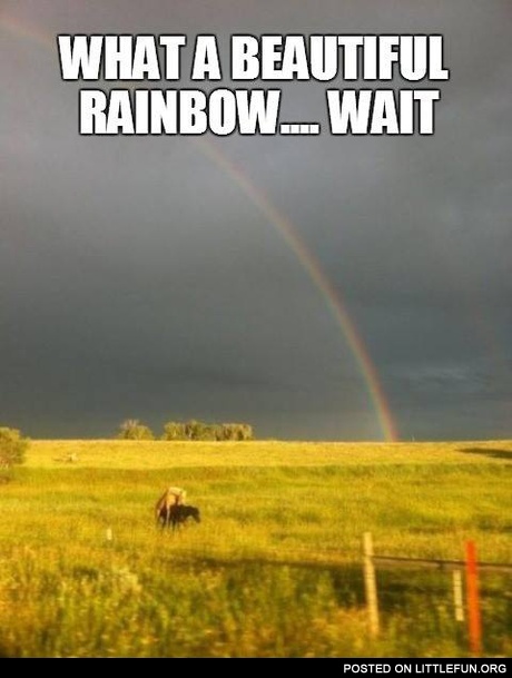 What a beautiful rainbow