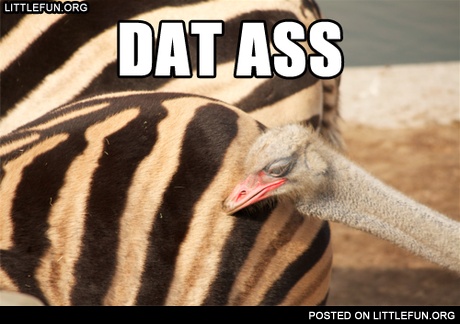 Dat ass