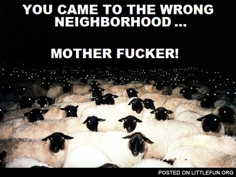 You came to the wrong neighborhood, motherf**ker