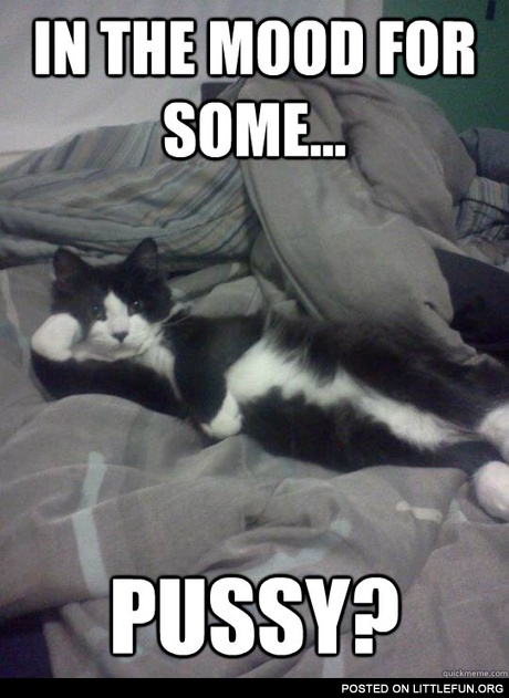 In the mood for some p*ssy?