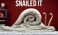 Snailed it