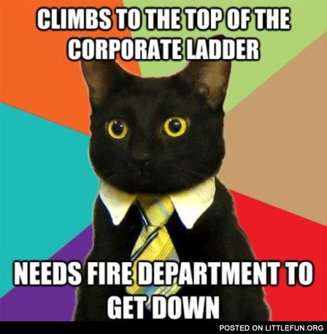 Climbs to the top of the corporate ladder