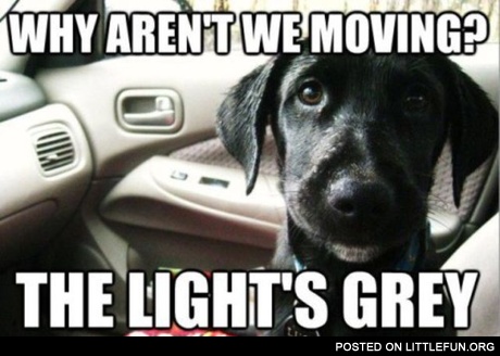The light is grey