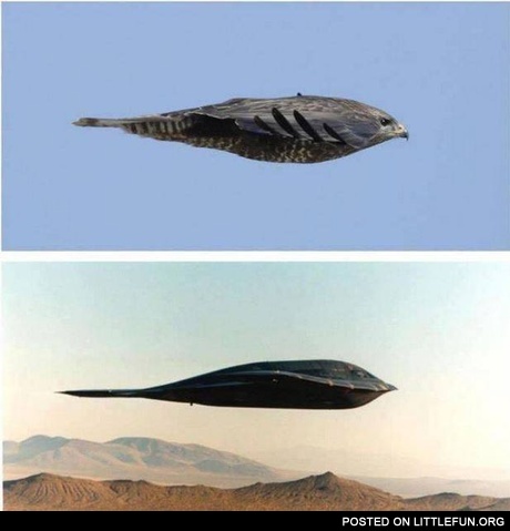 B-2 stealth bomber