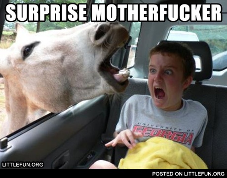 Surprise motherf**ker