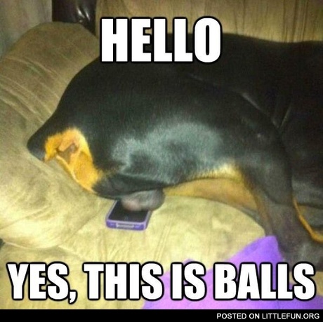 Balls on the phone
