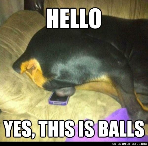 Balls on the phone