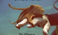 Baby octopus. Onward, human, to glory!