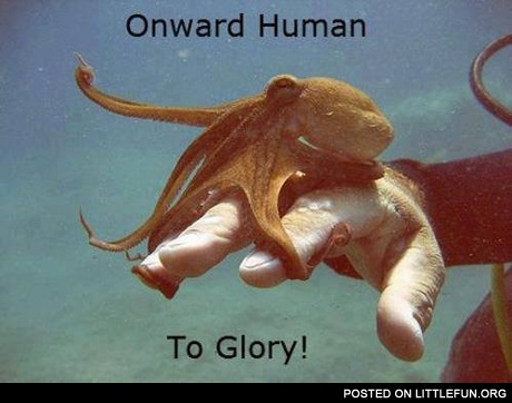 Baby octopus. Onward, human, to glory!