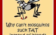 Why can't mosquitos suck fat?