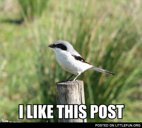 I like this post