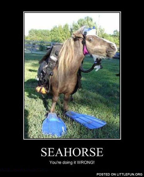 Seahorse