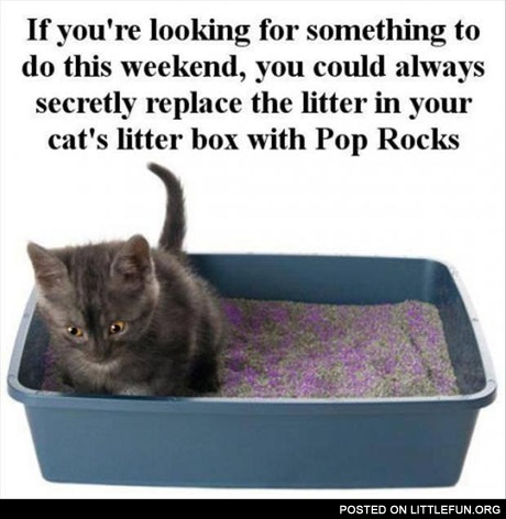 Litter box with Pop Rocks