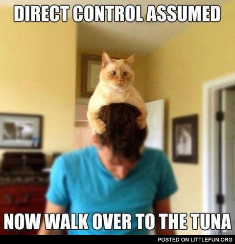 Direct control assumed, now walk over to the tuna