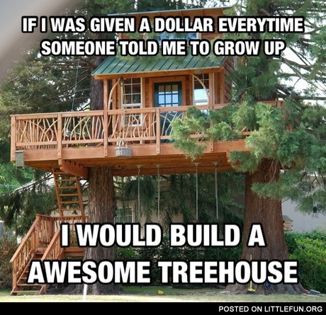 If I was given a dollar everytime someone told me to grow up, I would build an awesome treehouse