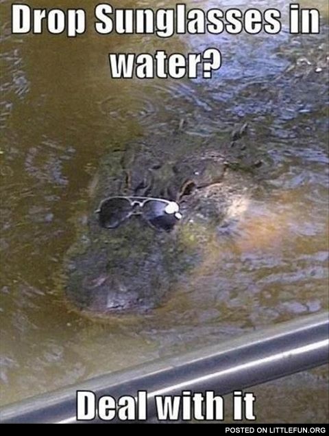 Drop sunglasses in water? Deal with it.