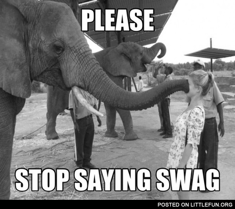 Please, stop saying swag