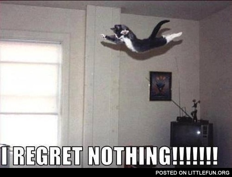 I regret nothing!