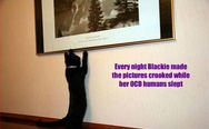 Every night Blackie made the pictures crooked while her OCD humans slept