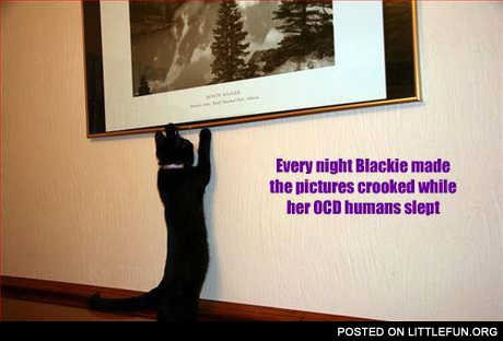 Every night Blackie made the pictures crooked while her OCD humans slept
