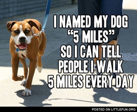 I named my dog "5 miles"