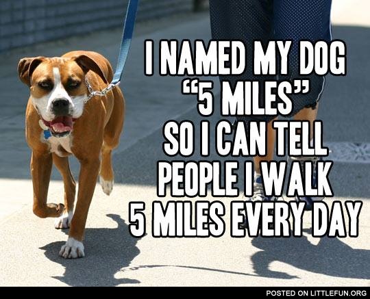 I named my dog "5 miles"