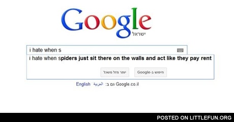 I hate when spiders just sit there on the walls and act like they pay rent