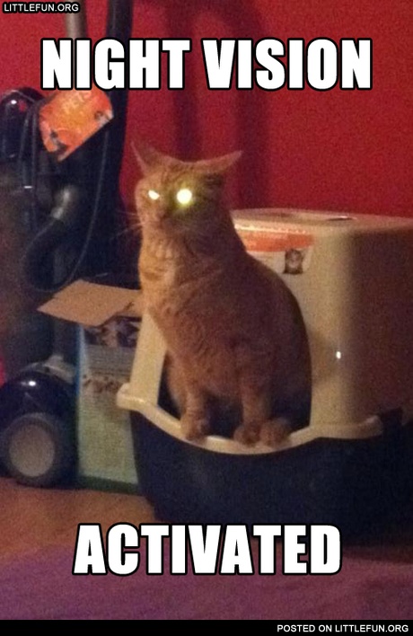 Night vision activated