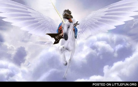 Winged unicorn with raptor
