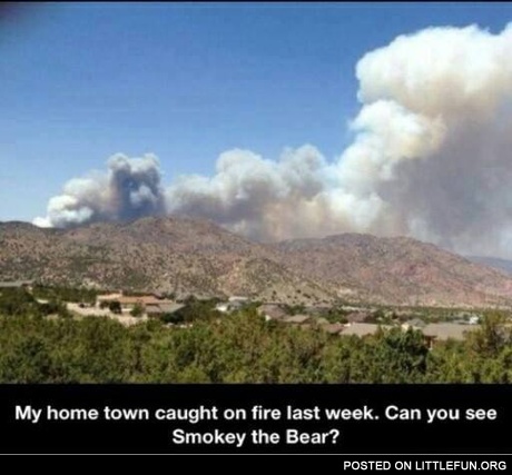 Smokey the bear