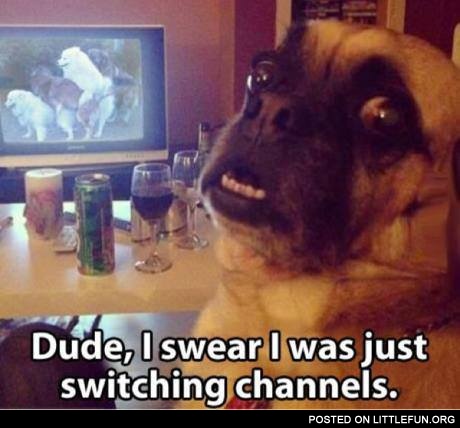 Dude. I swear I was just switching channels