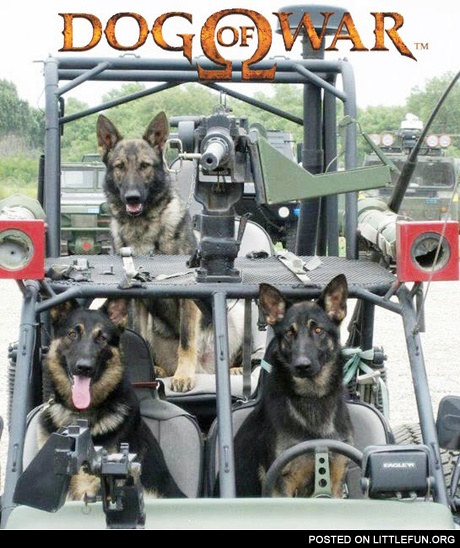 Dog of war