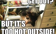 Dog in the fridge. Get out? But it's too hot outside.