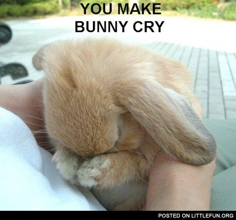 You make bunny cry