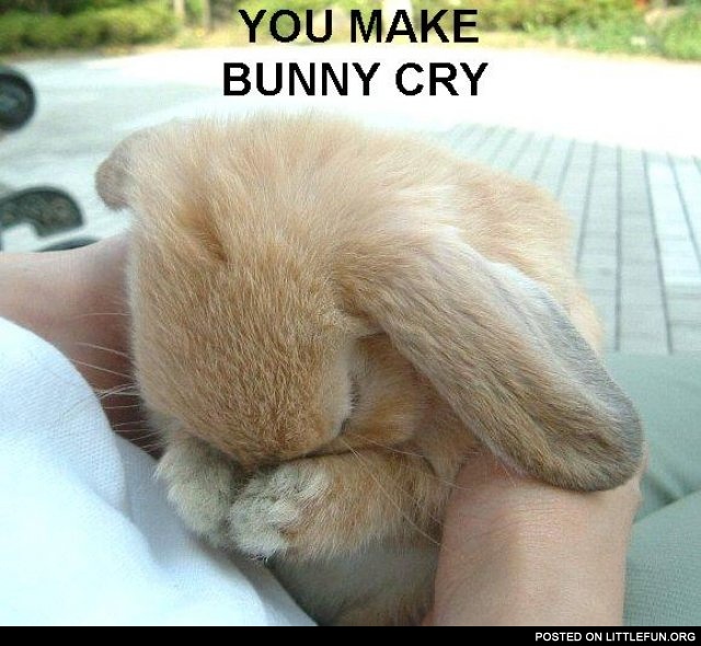 You make bunny cry