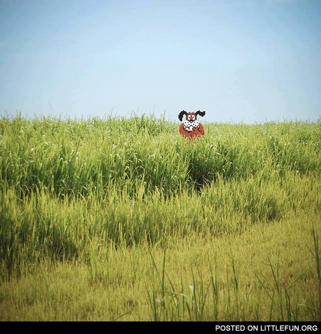 Schadenfreude Dog - by Aled Lewis