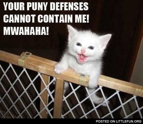 Your puny defenses cannot contain me